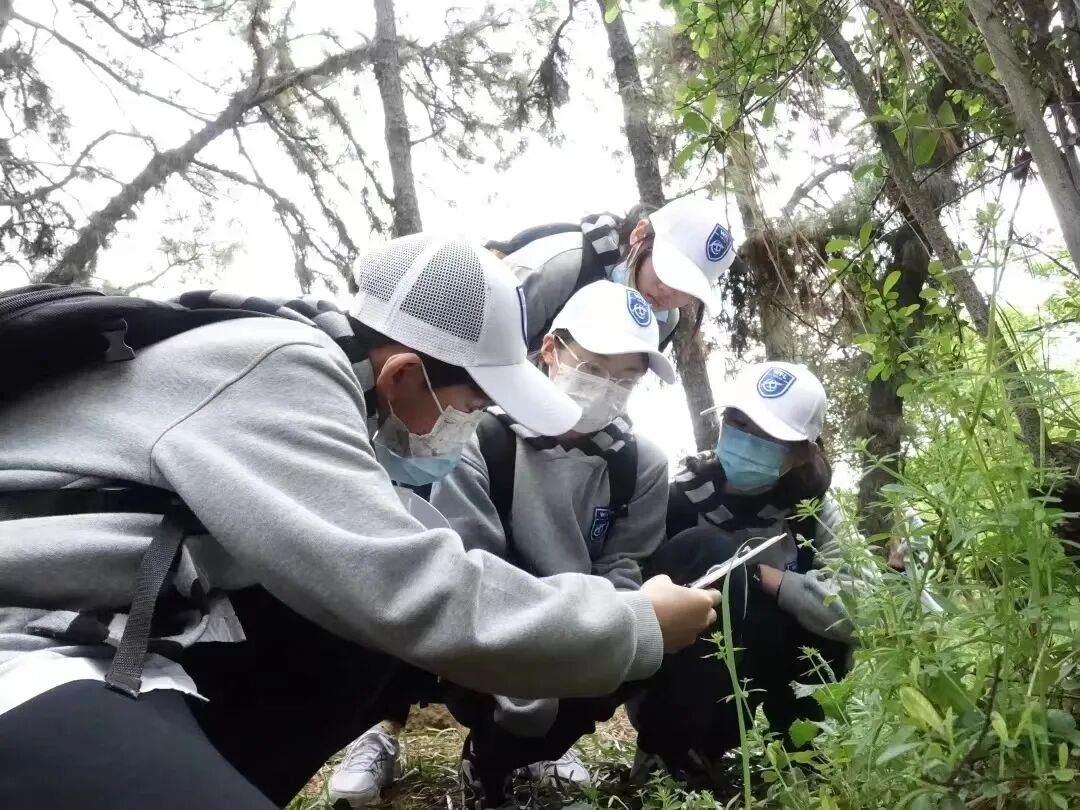 1678064952188199.jpg 图片